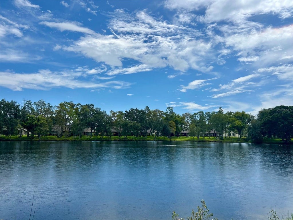 Photo of 2529 Oakleaf Lane #30C, Clearwater, FL 33763 (MLS # TB8543365)