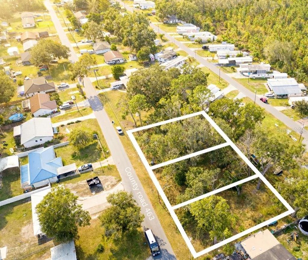 Photo of 0 County Rd 463, Lake Panasoffkee, FL 33538 (MLS # A4675954)