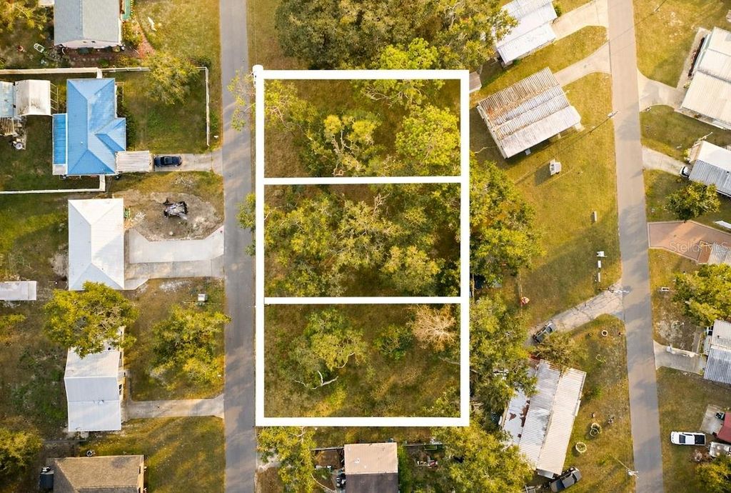 Photo of 0 County Rd 463, Lake Panasoffkee, FL 33538 (MLS # A4675954)