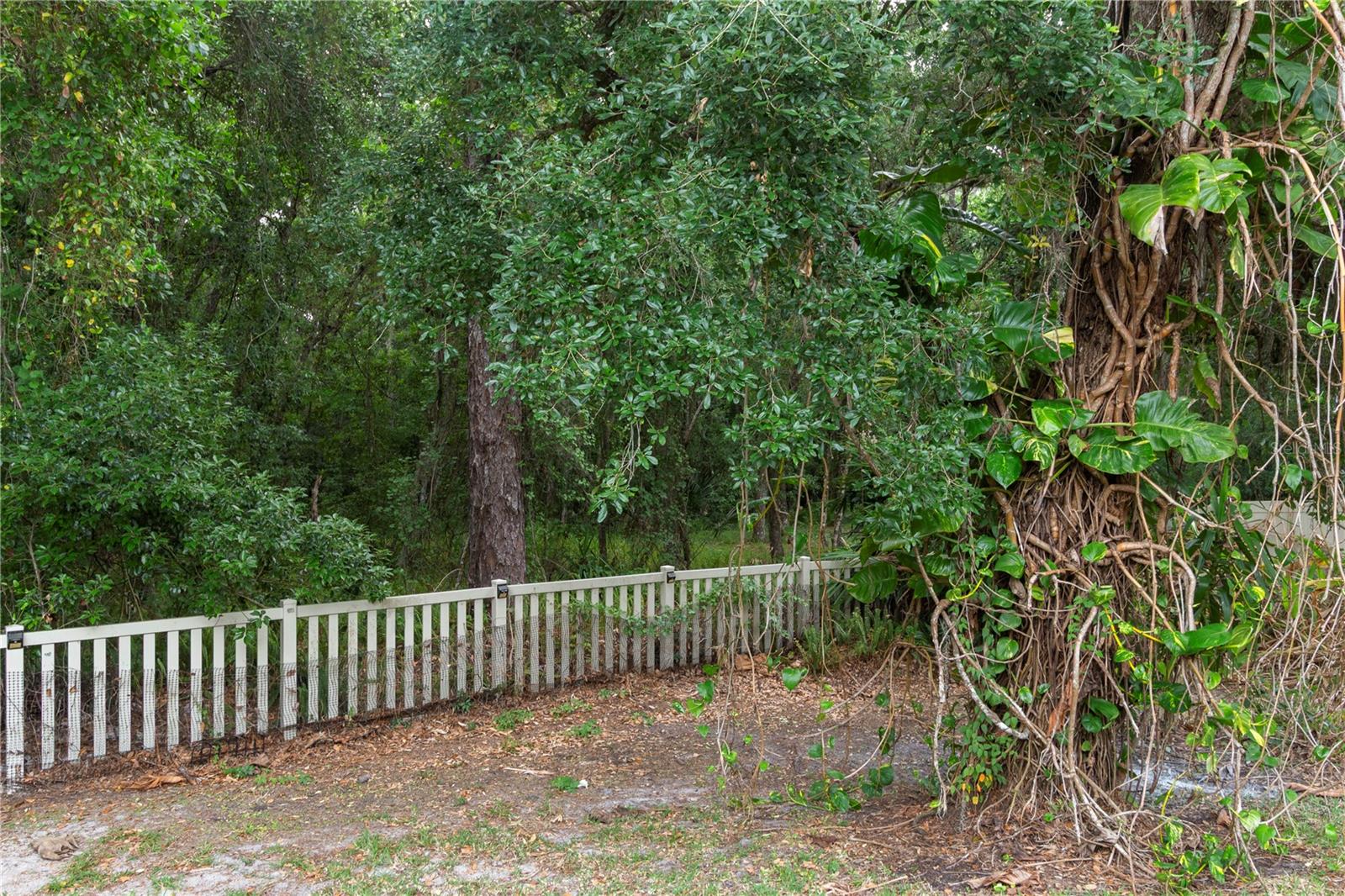 ROCKY CREEK ESTATES PH 2 - Residential