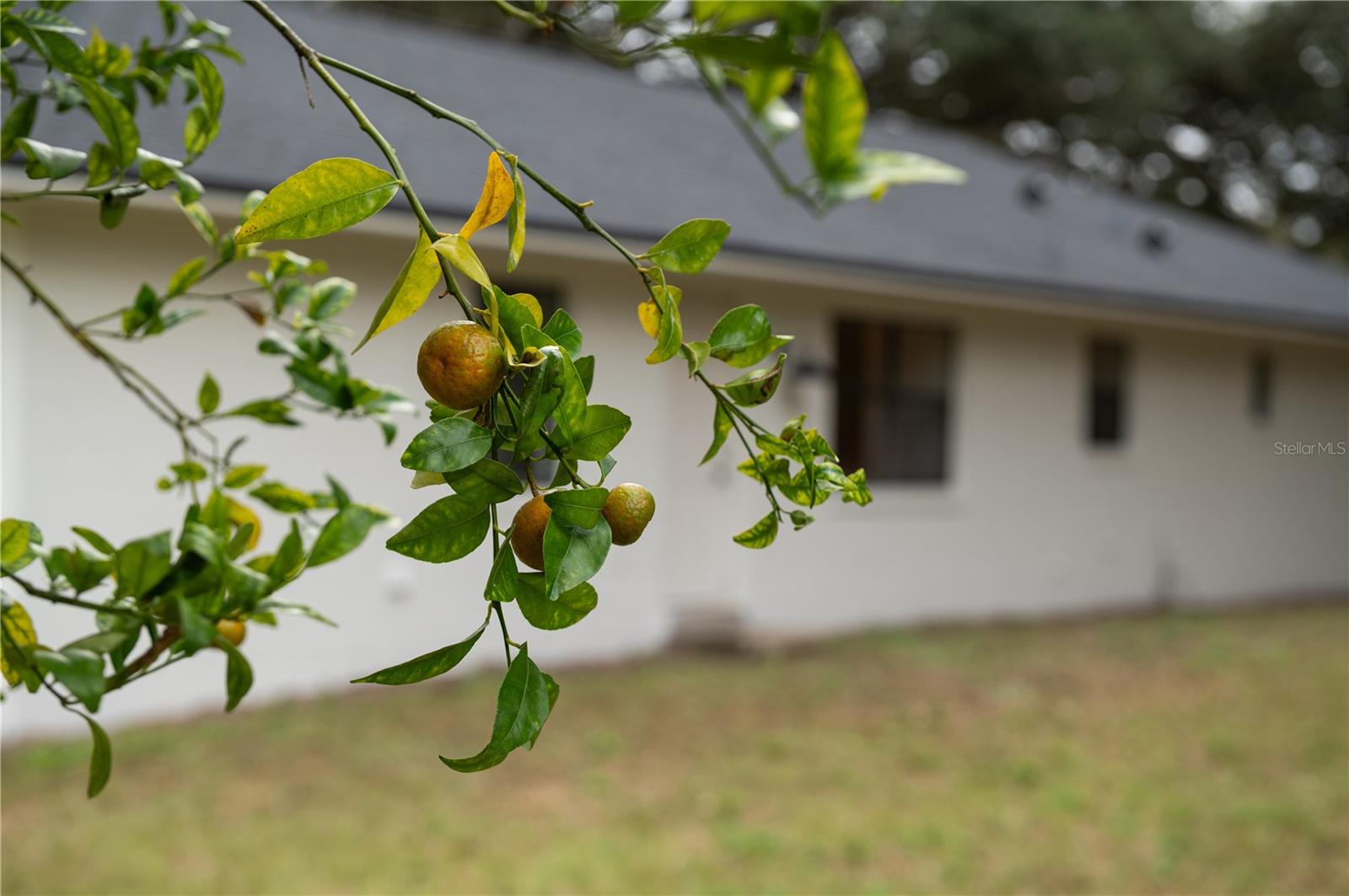 ROCK SPGS HOMESITES - Residential