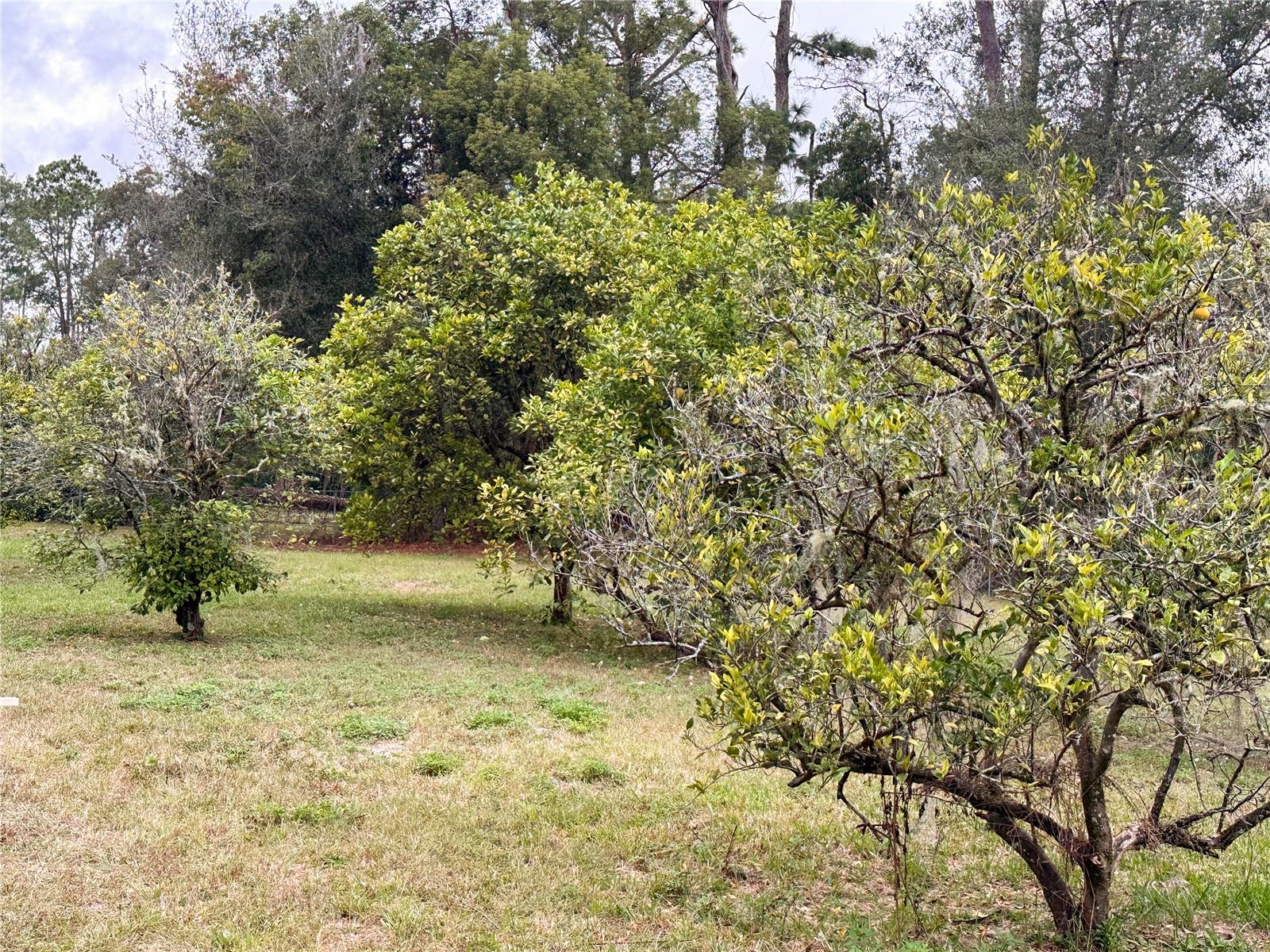 ROCK SPGS HOMESITES - Residential