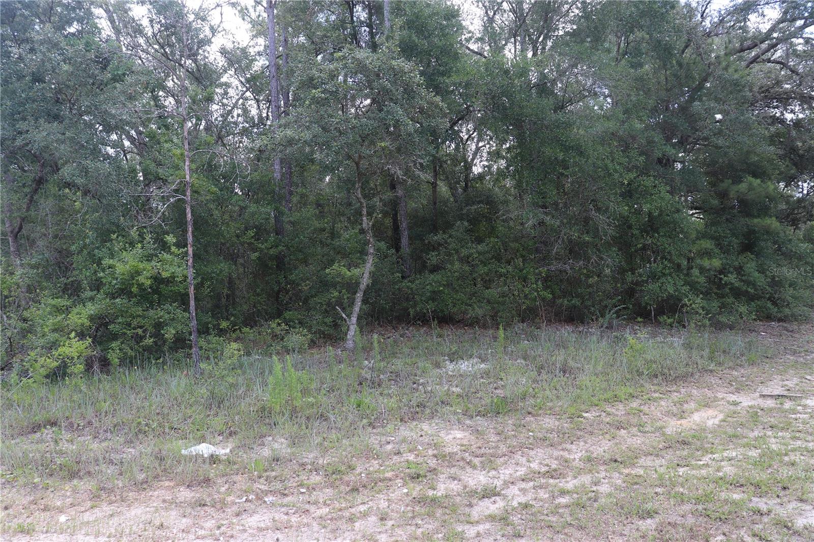 653 VERCELLI LANE