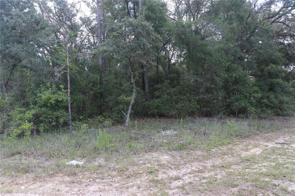 Photo of 653 Vercelli Lane, Dunnellon, FL 34434 (MLS # OM726380)