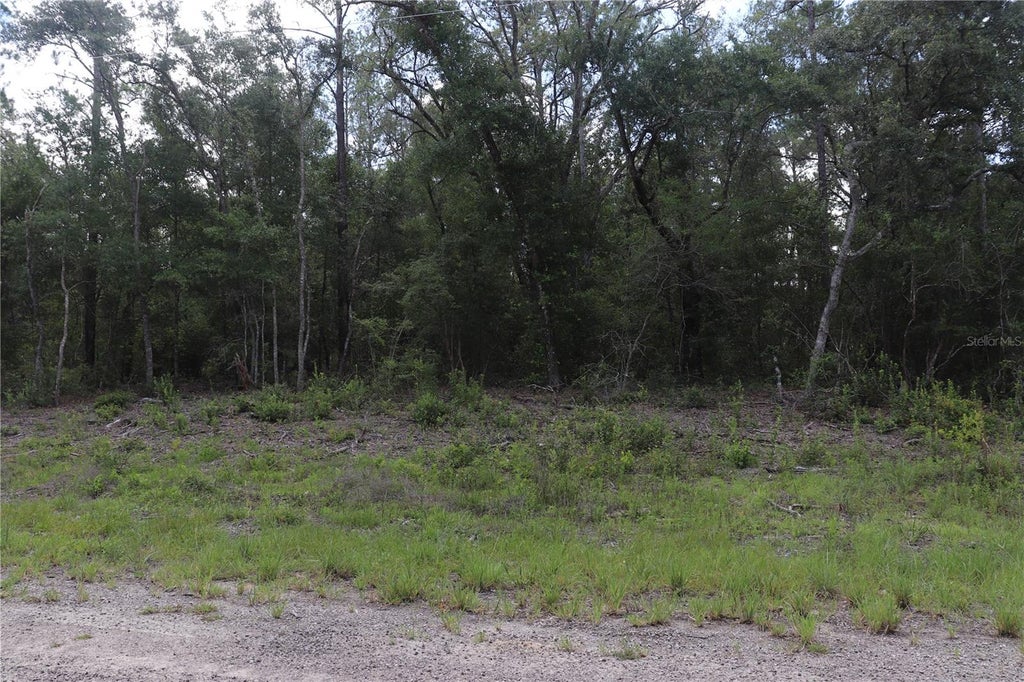 Photo of 653 Vercelli Lane, Dunnellon, FL 34434 (MLS # OM726380)
