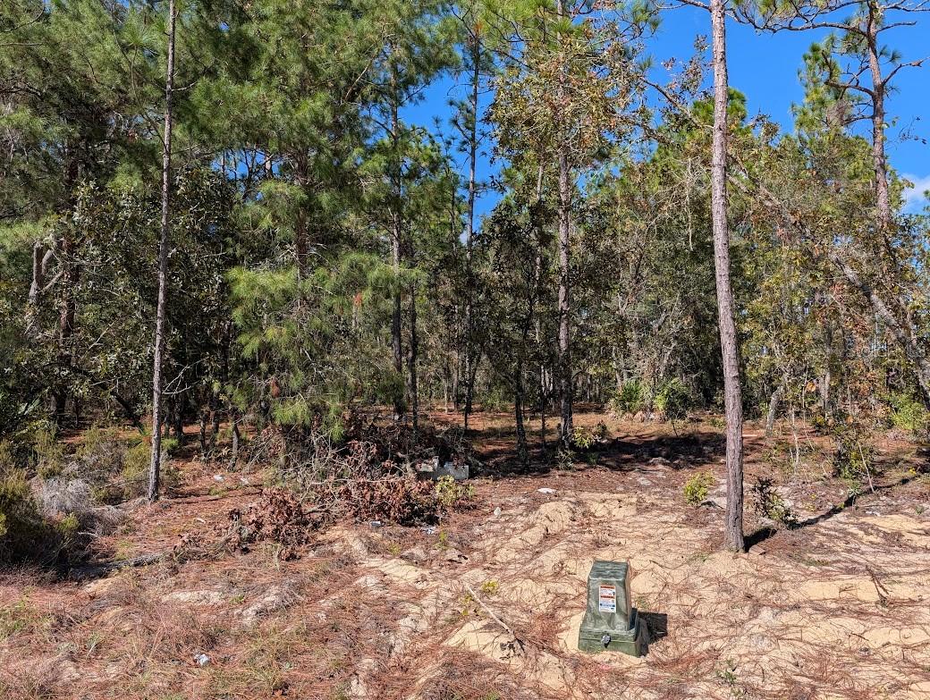 ROLLING HILLS - Land