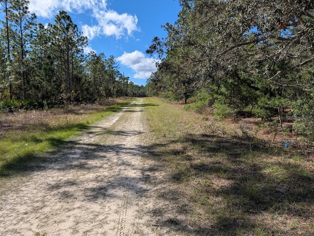 ROLLING HILLS - Land