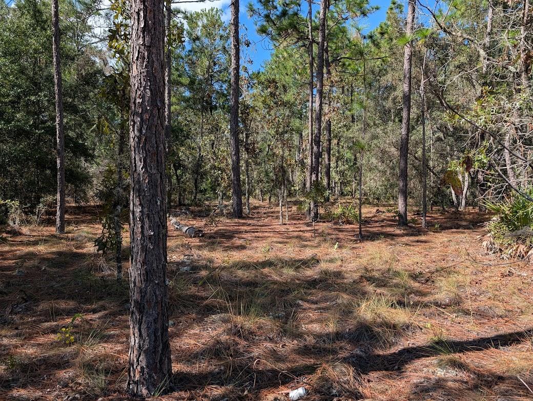 ROLLING HILLS - Land