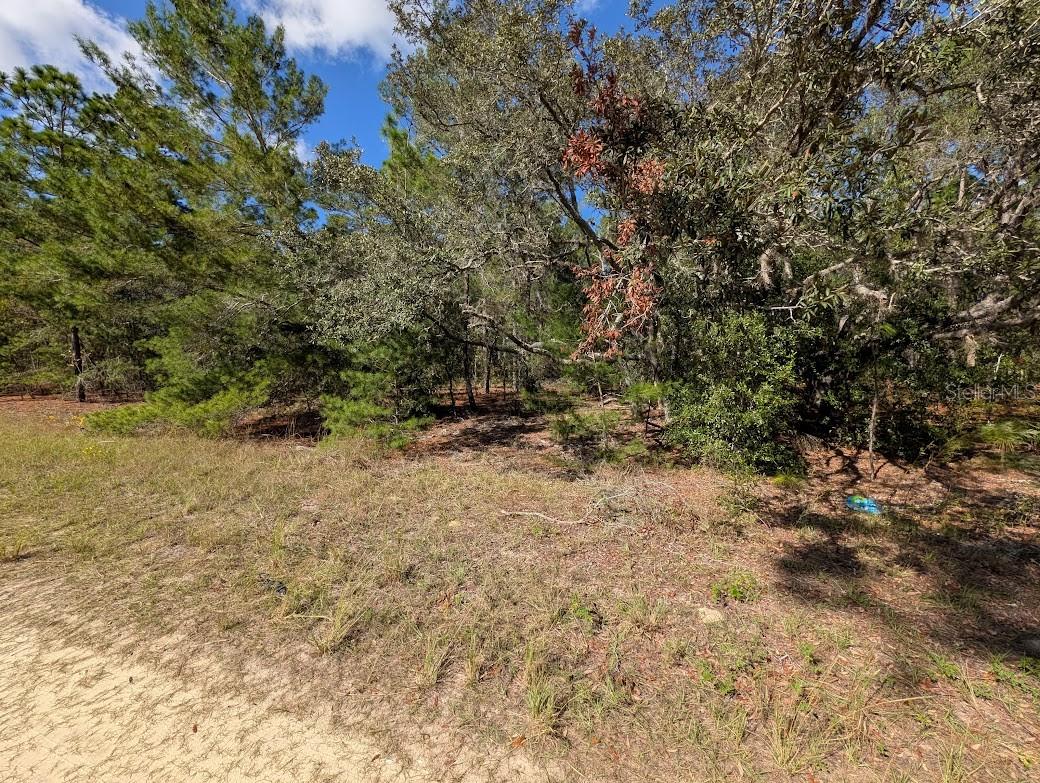 ROLLING HILLS - Land