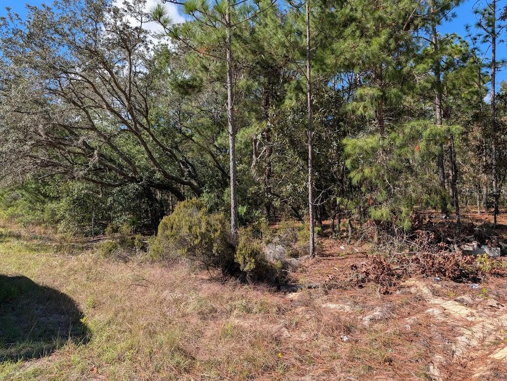 ROLLING HILLS - Land