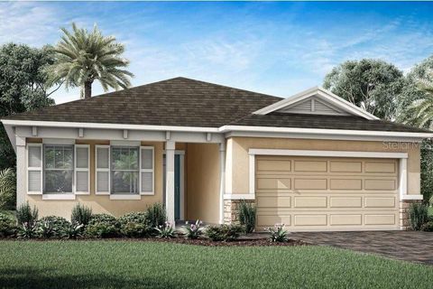 Photo of 34905 Flower Patch Drive, Dade City, FL 33525 (MLS # TB8512410)
