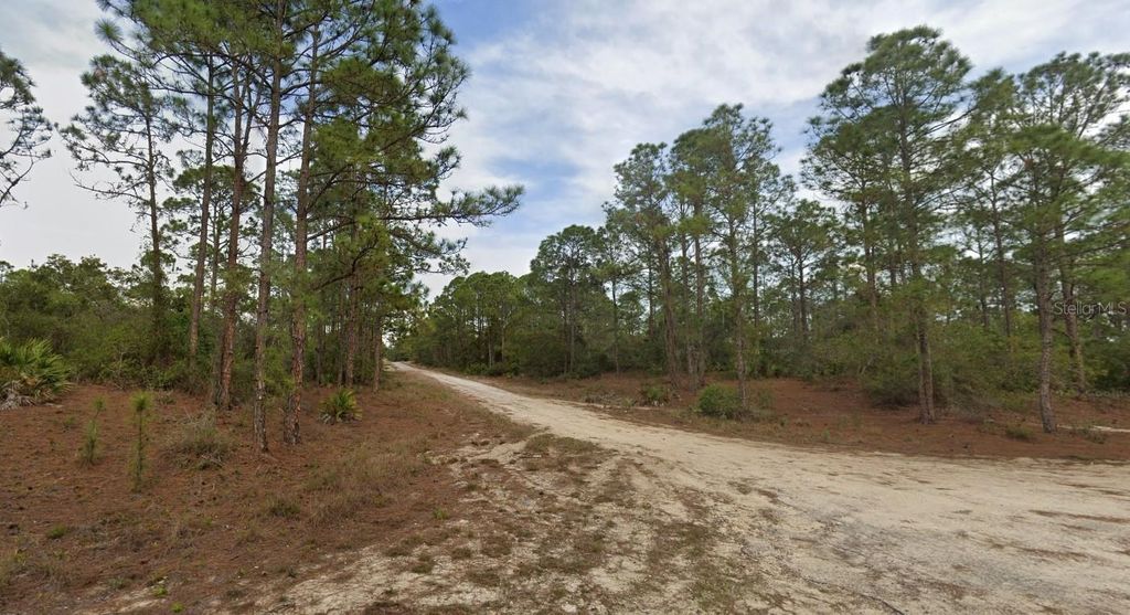 Photo of 401 Wind Rose Avenue, Lake Placid, FL 33852 (MLS # O6302091)