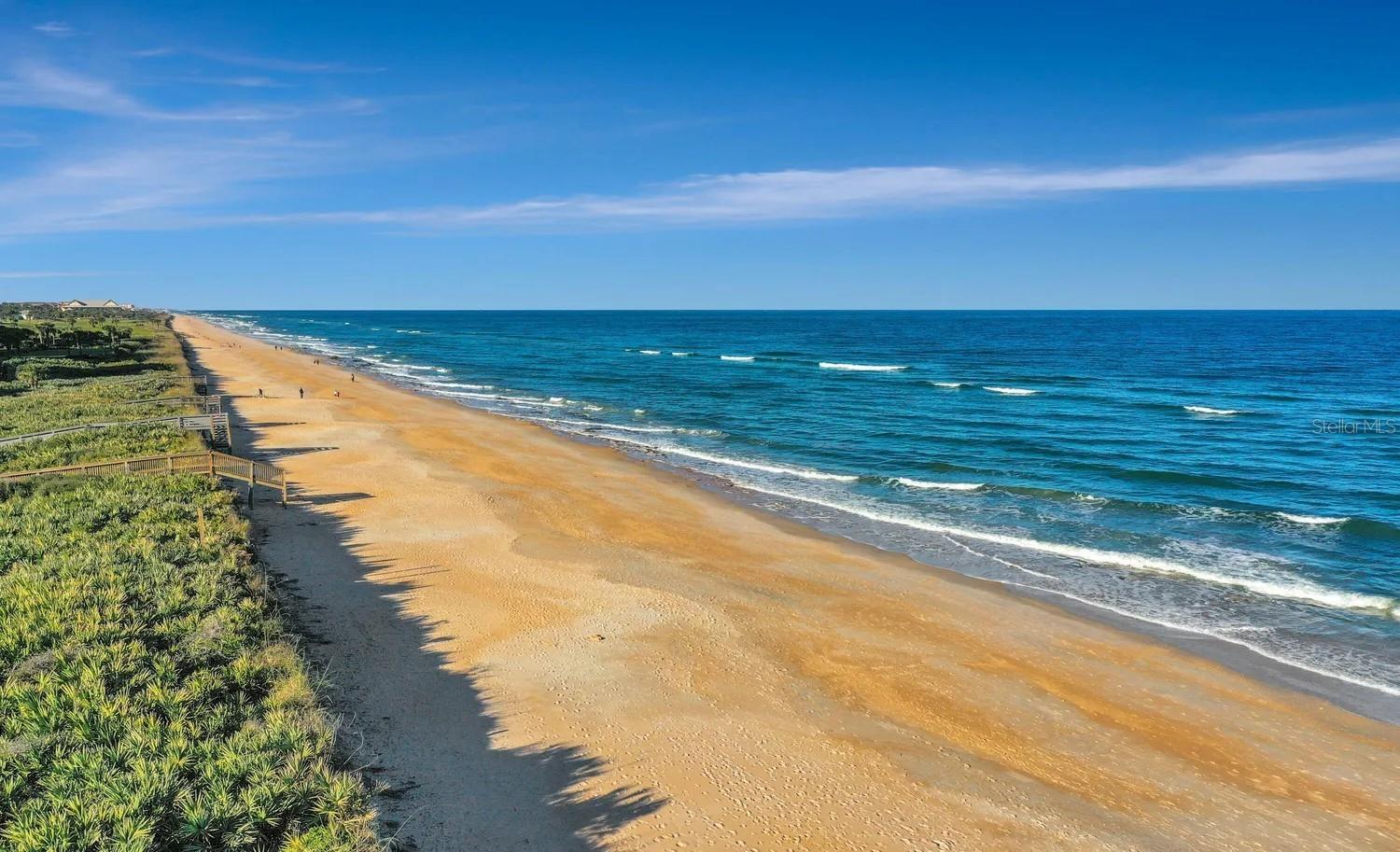 OCEAN HAMMOCK - Residential