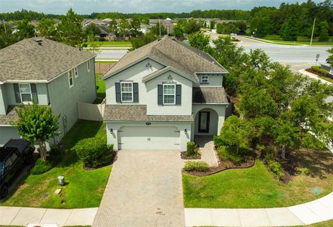 19200 ROSEATE DRIVE LUTZ FL 33558