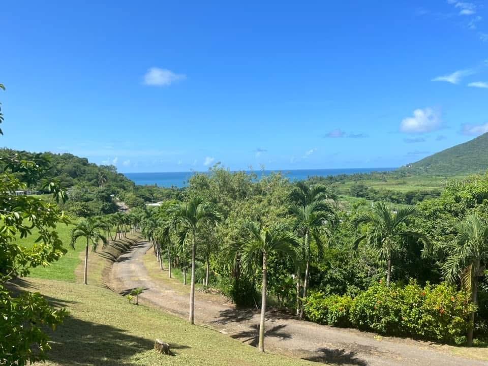 901 AMAZING VIEW HOUSE