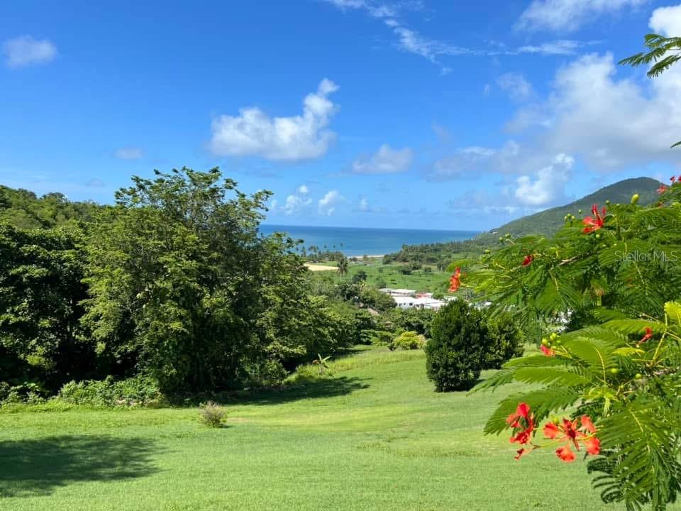 901 AMAZING VIEW HOUSE