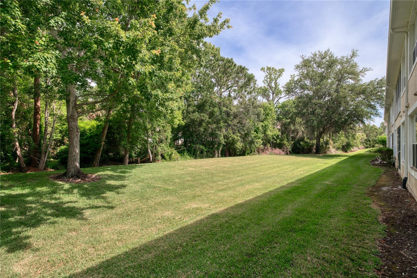 CARRIAGE HOMES AT DUNWOODY COMMONS A CON - Residential