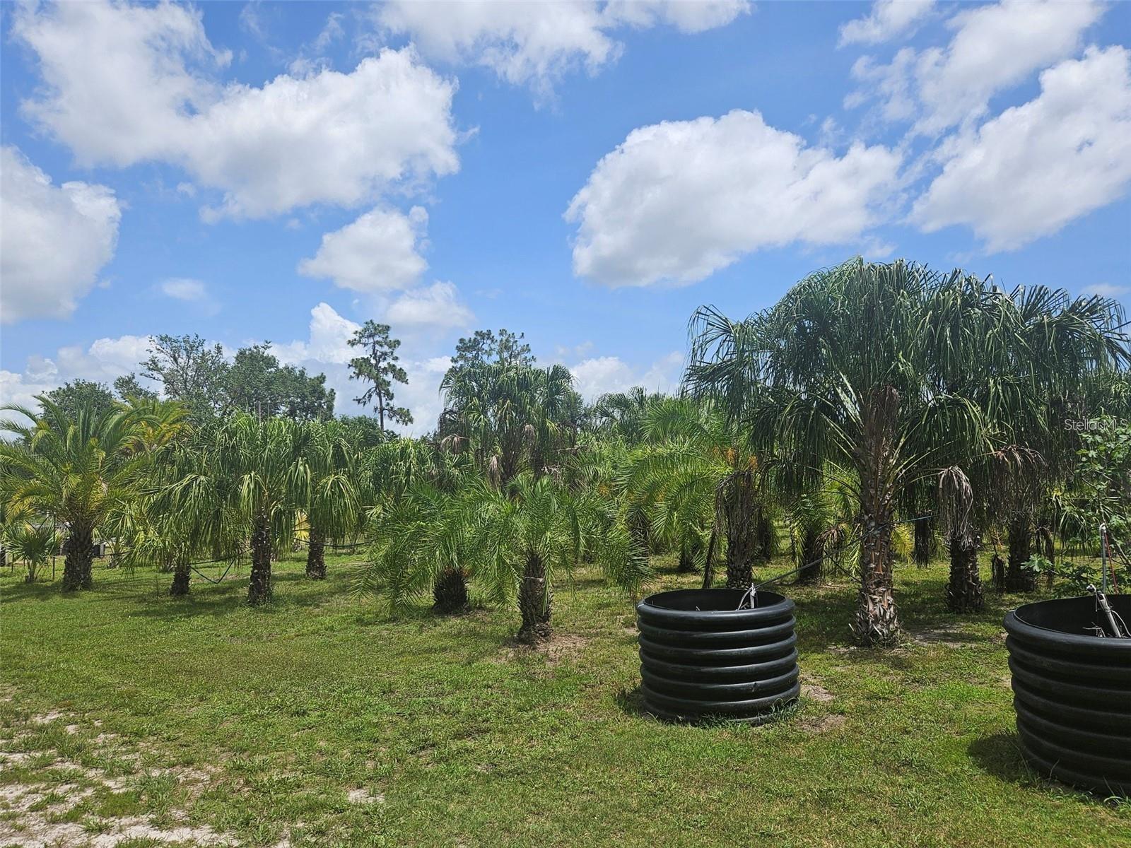 WATERBURY TRACTS CONTINUED - Land