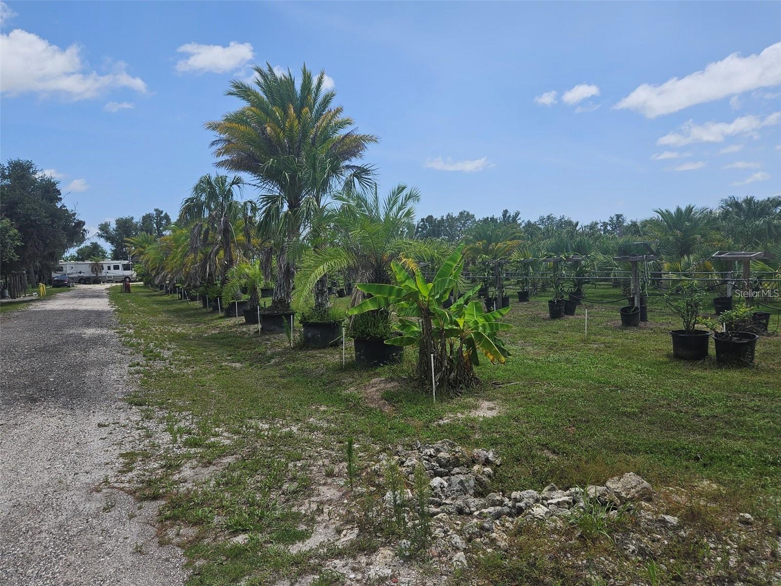 WATERBURY TRACTS CONTINUED - Land