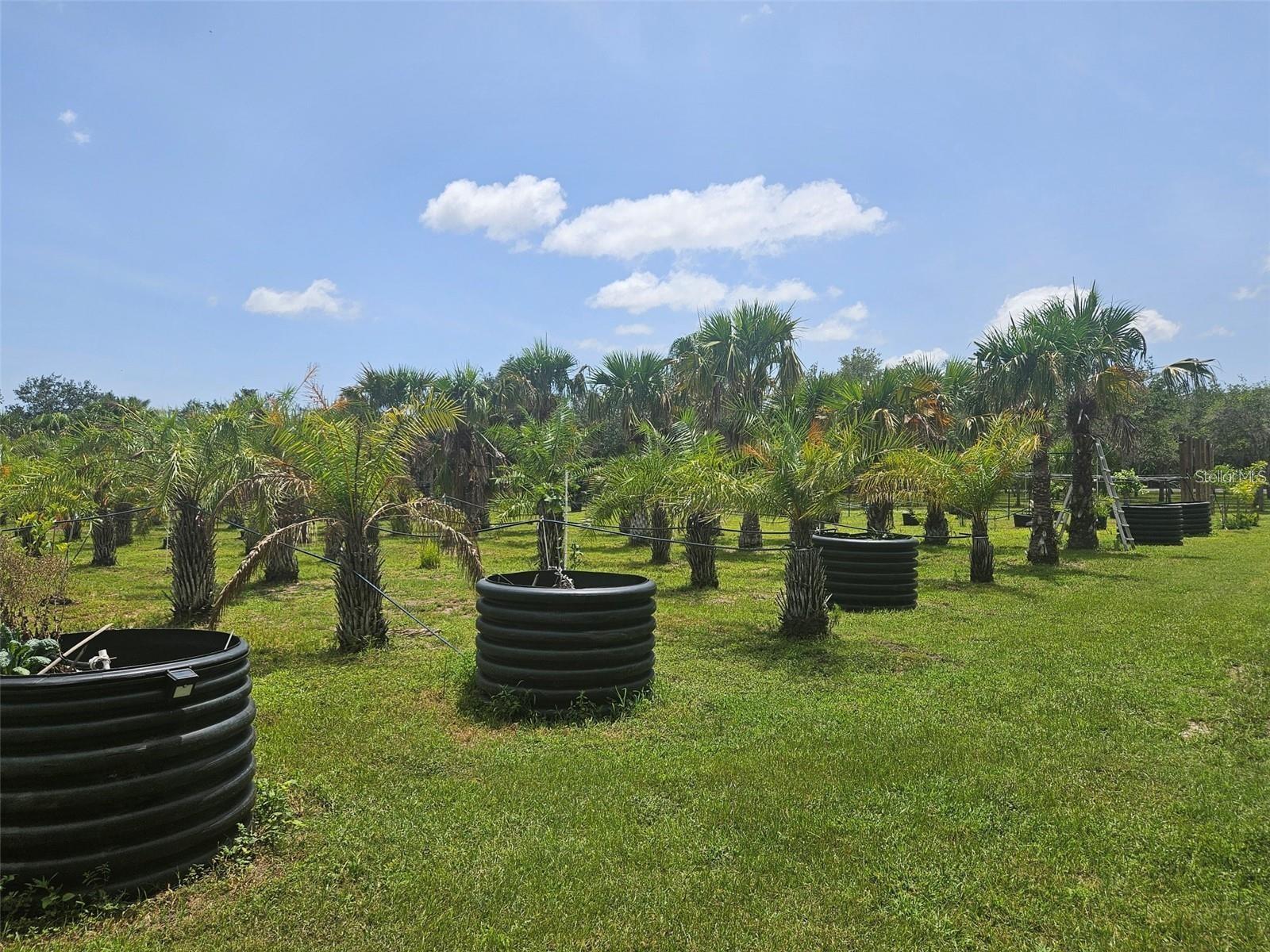 WATERBURY TRACTS CONTINUED - Land