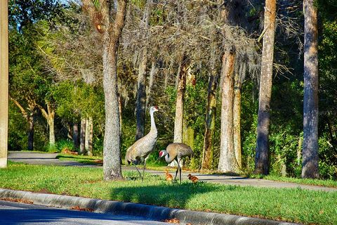 A home in KISSIMMEE