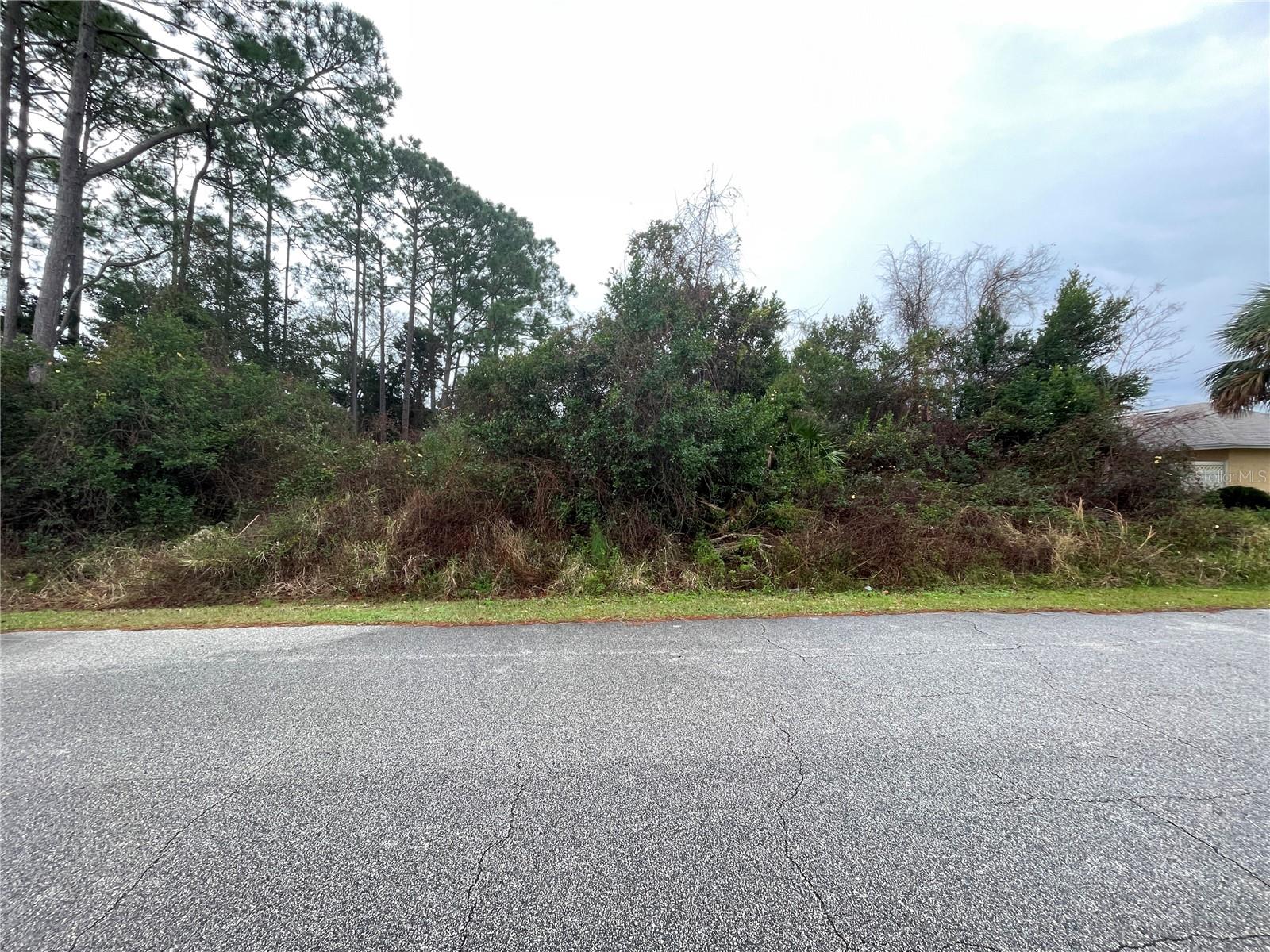 PALM COAST SEC 07 - Land