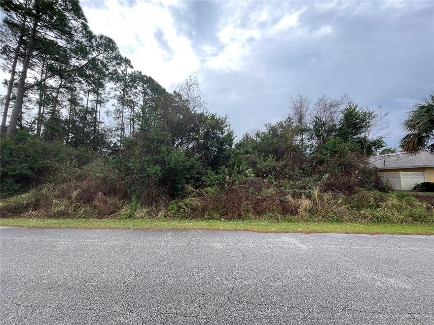 Introducing an exceptional opportunity to build your dream home in the coveted F Section of Palm Coast. This vacant lot offers a prime location, just 15 minutes from the pristine beaches that grace the area. Enjoy the perfect blend of coastal living with the convenience of being less than 10 minutes away from shops, restaurants, and schools, making daily life a seamless blend of relaxation and accessibility.

One of the unique advantages of this property is the absence of build time frame restrictions, providing you the flexibility to plan and design your ideal residence without any rush. Embrace the freedom to create a home that perfectly suits your vision and lifestyle.

Immerse yourself in the tranquility of private coastal living, where you can escape the hustle and bustle while still being close to all the amenities that matter. The F Section of Palm Coast is renowned for its serene atmosphere and proximity to nature, offering a unique opportunity to tailor your living experience to your preferences.

Take the first step towards realizing your coastal dream and inquire about this property today. Your ideal lifestyle awaits in this exclusive and promising location.