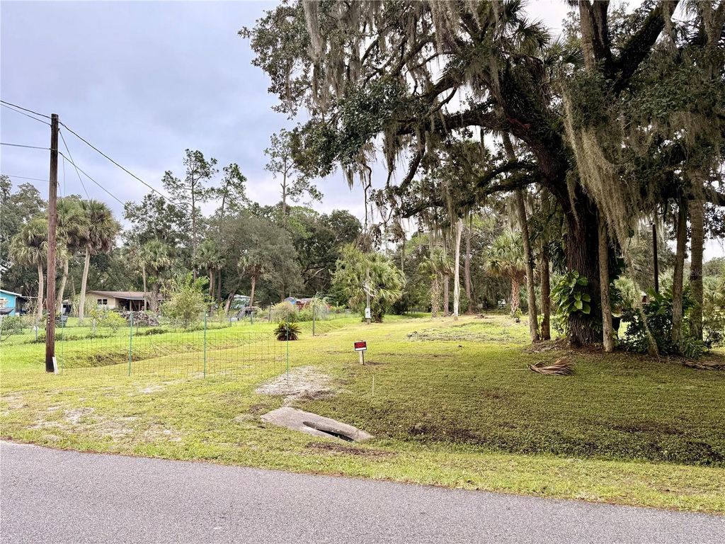 Photo of 1003 Saint Catherine Avenue, Christmas, FL 32709 (MLS # L4956530)