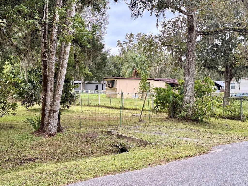 Photo of 1003 Saint Catherine Avenue, Christmas, FL 32709 (MLS # L4956530)
