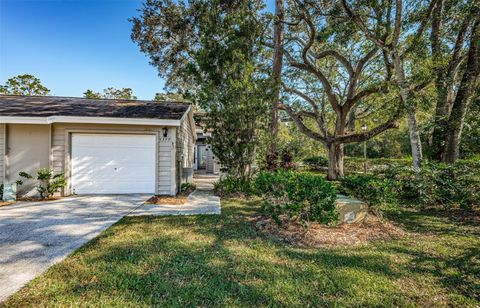 A home in PALM HARBOR