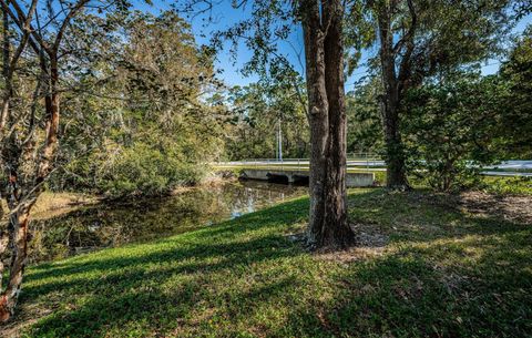 A home in PALM HARBOR