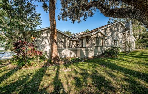 A home in PALM HARBOR