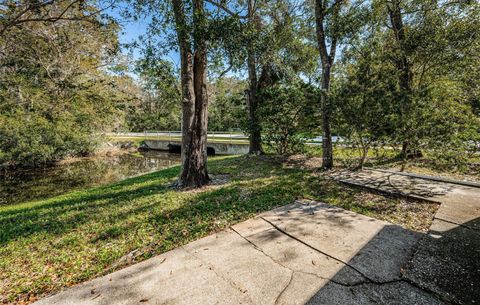 A home in PALM HARBOR