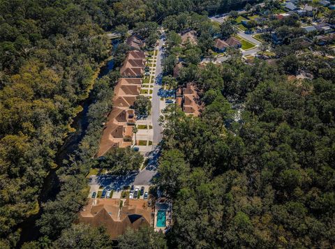 A home in PALM HARBOR