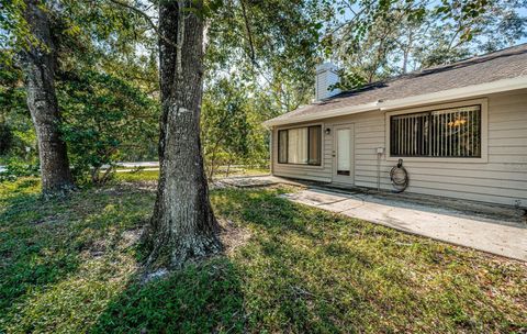 A home in PALM HARBOR