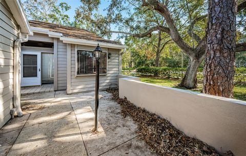 A home in PALM HARBOR