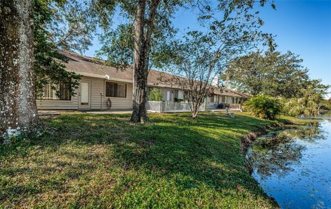 A home in PALM HARBOR