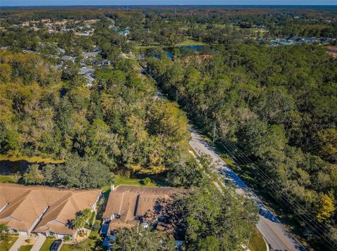 A home in PALM HARBOR