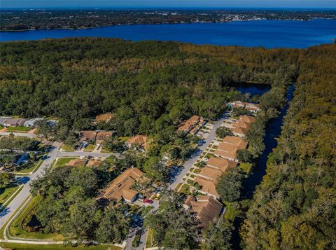 A home in PALM HARBOR