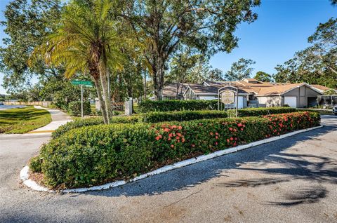 A home in PALM HARBOR