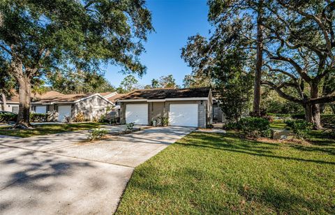 A home in PALM HARBOR