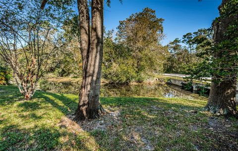 A home in PALM HARBOR