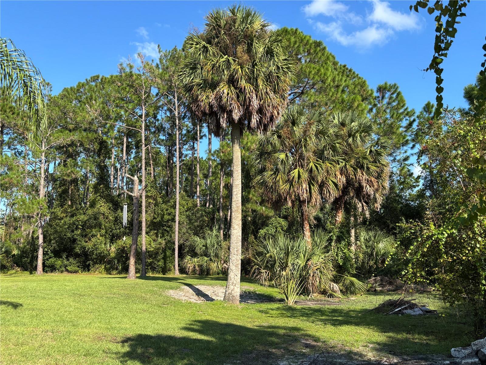 PALM COAST SEC 28 - Land