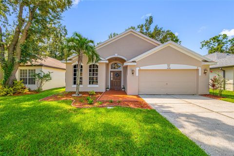 4608 WHISPERING WIND AVENUE TAMPA FL 33614