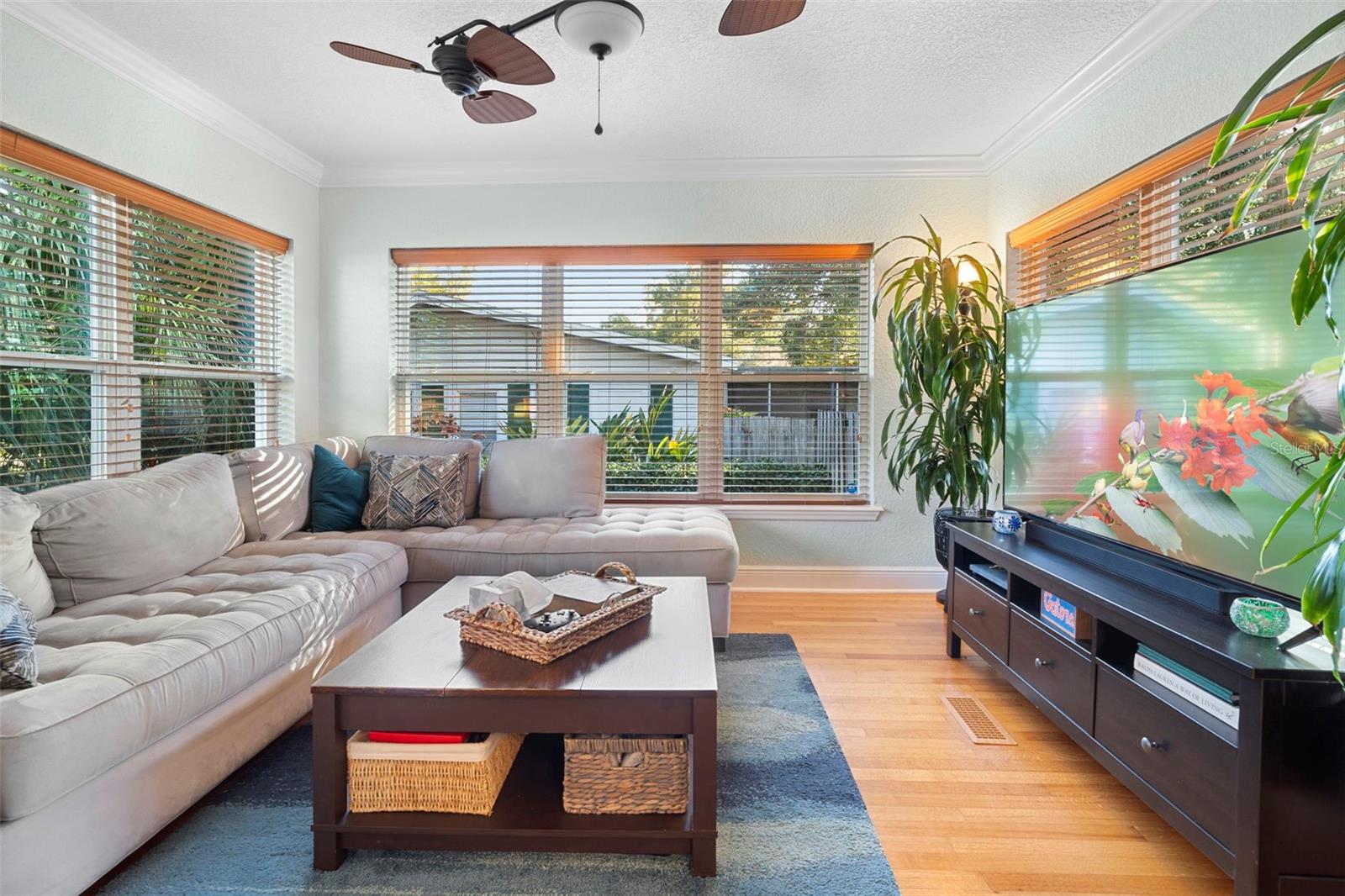 PINE LOCH HEIGHTS - Residential