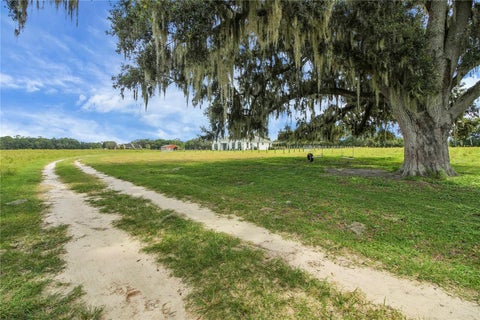 Tiny photo for 10757 County Road 223, Oxford, FL 34484 (MLS # G5114692)