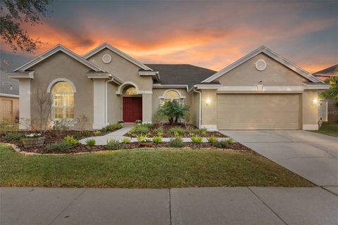 8204 GINGER PINE WAY TAMPA FL 33647