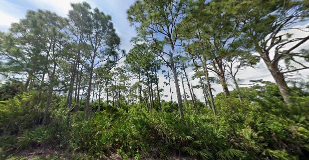 PORT CHARLOTTE SEC 052 - Land