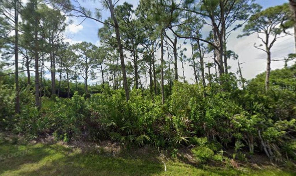 Photo of 5249 Wynn Terrace, Port Charlotte, FL 33981 (MLS # D6144943)