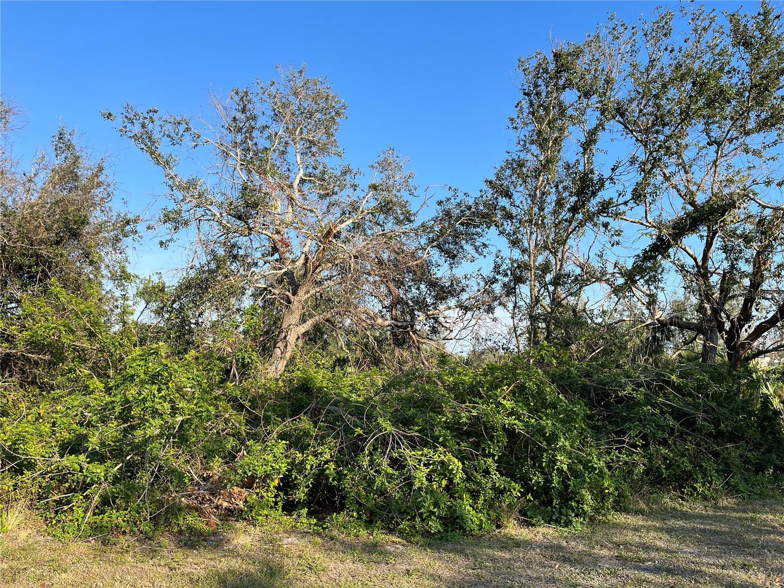 236 DENVER DRIVE